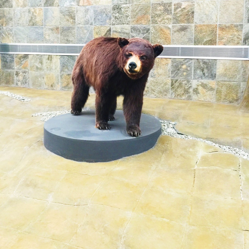 Kodiak Bear in the Anchorage Airport