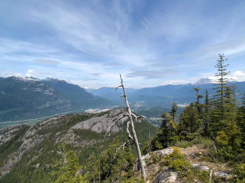 view of Squamish Valley and the Chief from late June. 