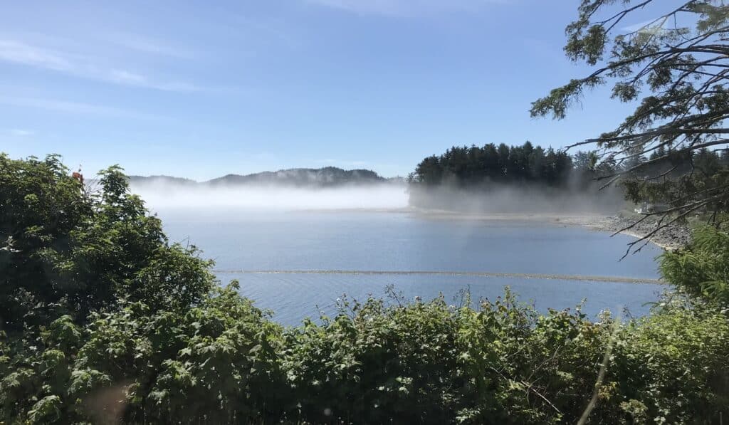View from behind the Treehouse out to Hardy Bay on a sunny day in summer.  Berry bushes in the foreground with the bay in the midground, and trees with a low fog on the point and across the bay in the background. 