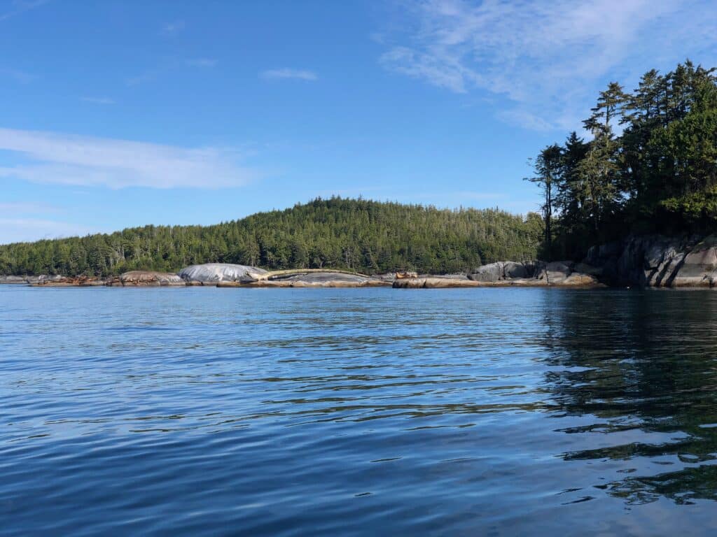 Islands in the Queen Charlotte Strait are viewed across the water. A small group of Steller sea lions and a large driftwood tree trunk are visible on the rocks closest to the water.