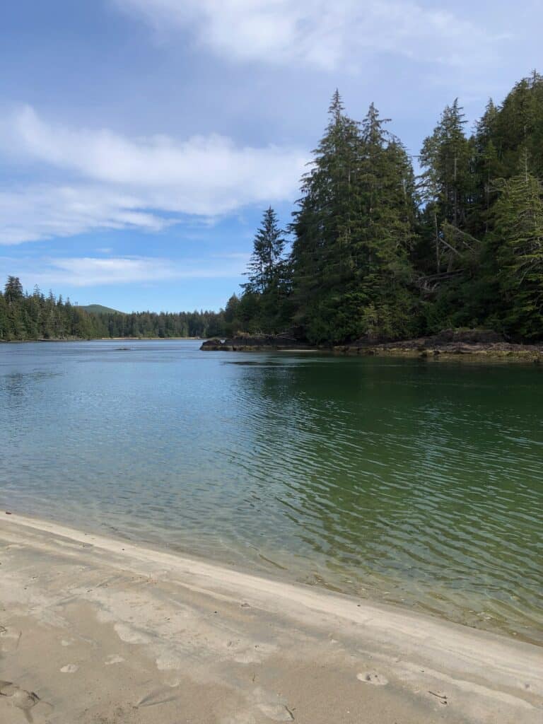 View of San Josef River with cedar trees on the far bank, San Josef bay is located on the west coast of Vancouver Island near Port Hardy, BC.
