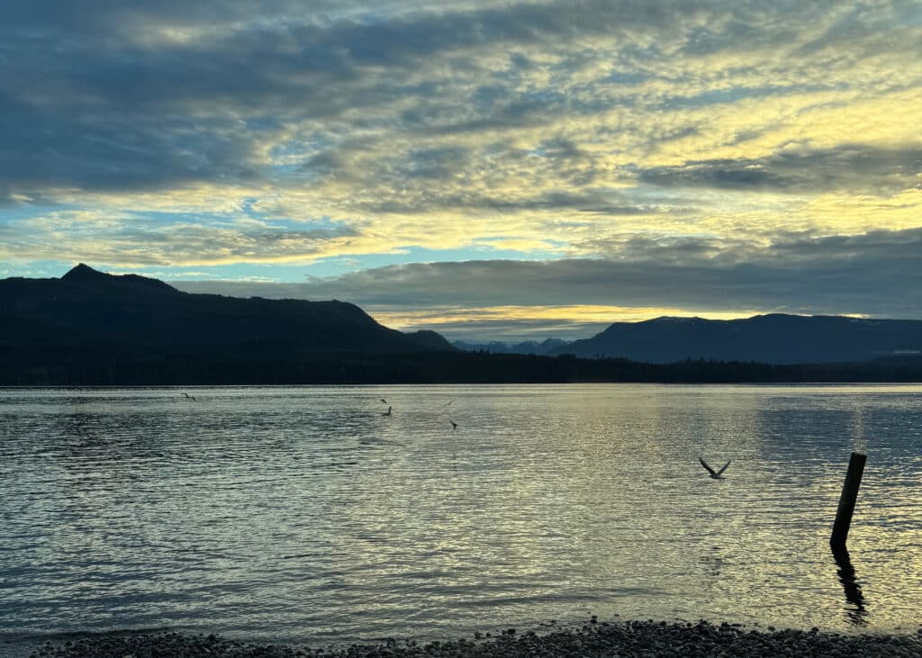 View of the ocean with mountains and an evening sky full of clouds. Sea birds flying over the water in the foreground.